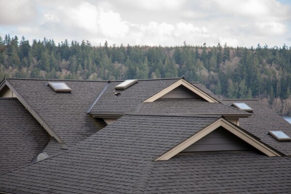 New Roof Installation Services